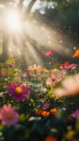 Colorful wildflower garden in spring sunlight showcasing vibrant blooms and lush greenery photo