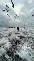 A person walks through the turbulent surf while seabirds soar overhead on a cloudy day photo