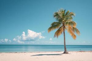 A solitary palm tree on a serene beach under a clear blue sky with gentle waves in the background photo