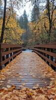 Serene wooden bridge over a stream surrounded by autumn foliage in a tranquil forest photo