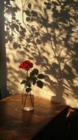 A solitary red rose in a glass vase casting intricate shadows on a warm wall photo