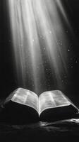 An open book emits glowing particles in a mystical setting with sunlight filtering through photo