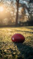 A football resting on grass under golden autumn sunlight with trees in the background photo