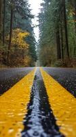 Rainy autumn road with reflections from trees in a dense forest during a cloudy day photo