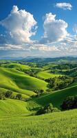 Lush green hills and rolling fields under a bright blue sky in a vibrant countryside landscape photo