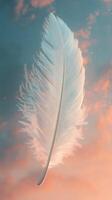 A delicate white feather floating peacefully against a dreamy pastel sky at sunset photo