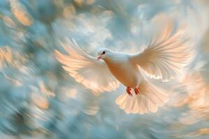 A white dove gracefully flies through a soft, blurred background of pastel colors during sunset photo