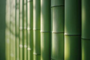 Freshly woven bamboo leaves arranged neatly on a surface under soft natural light photo