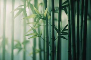 Freshly woven bamboo leaves arranged neatly on a surface under soft natural light photo