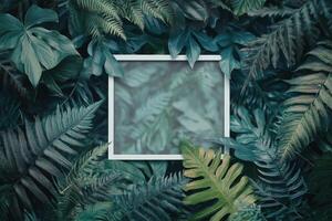 A serene face framed by lush green leaves in an outdoor setting during daylight hours photo