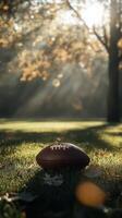 A football resting on grass under golden autumn sunlight with trees in the background photo