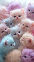 Soft pastel kittens sleeping together in a cozy pile during a sunny afternoon photo