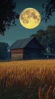 A rustic cabin stands peacefully in a golden wheat field under a bright full moon at night photo