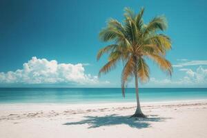 A solitary palm tree on a serene beach under a clear blue sky with gentle waves in the background photo