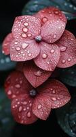Red flowers adorned with droplets after rain showcasing vibrant colors in a natural setting photo