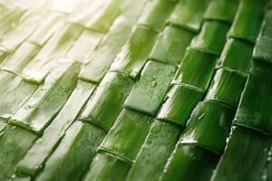 Freshly woven bamboo leaves arranged neatly on a surface under soft natural light photo
