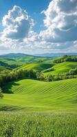Lush green hills and rolling fields under a bright blue sky in a vibrant countryside landscape photo