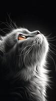 A majestic cat gazes upward in a dramatic play of light and shadows during twilight hours photo