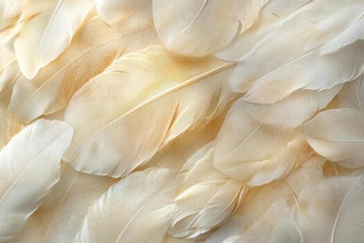 Soft ivory feathers layered delicately on a muted background creating a serene visual effect photo