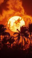 Vibrant sunset with palm trees silhouetted against a colorful sky in a tropical setting photo