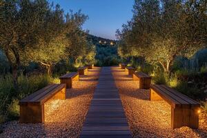 Serene pathway lined with olive trees and benches illuminated at twilight in a peaceful garden photo
