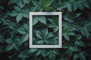 A serene face framed by lush green leaves in an outdoor setting during daylight hours photo