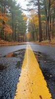 Rainy autumn road with reflections from trees in a dense forest during a cloudy day photo