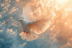 un blanco paloma graciosamente moscas mediante un suave, borroso antecedentes de pastel colores durante puesta de sol foto