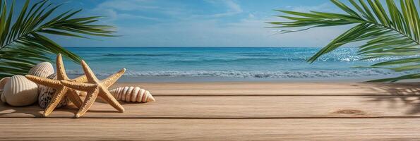 Coastal beachfront with seashells and starfish on wooden surface during sunny day photo