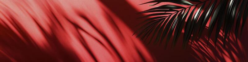 Shadows of palm leaves dance on vibrant red wall during afternoon light photo