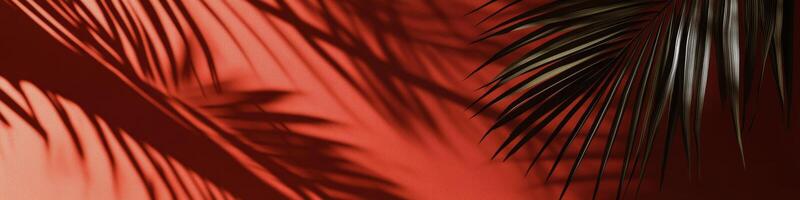 Shadows of palm leaves dance on vibrant red wall during afternoon light photo