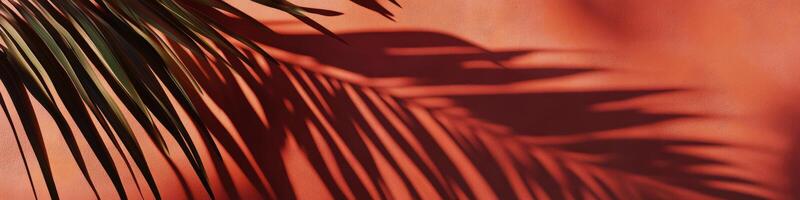Shadows of palm leaves dance on vibrant red wall during afternoon light photo