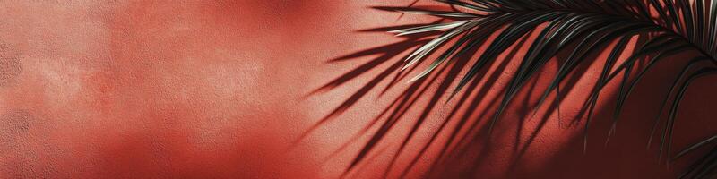Shadows of palm leaves dance on vibrant red wall during afternoon light photo