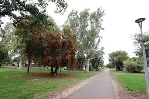 Pedestrian path in the city park. photo