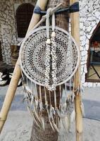 Dreamcatcher hanging from a tree with a necklace made of snail shells photo