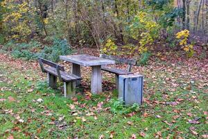 Resting place with table and benches in autumn forest photo