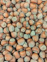 Close-up of a large collection of hazelnuts showing their textured shells photo