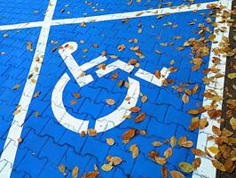 Background image of the disabled person's emblem on asphalt on a blue background in autumn photo