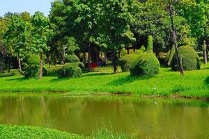 Lake and Tree beautiful nature in garden park Thailand beautiful nature photo