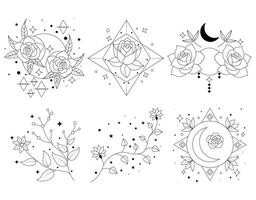 Mystical Floral and Moon Patterns vector