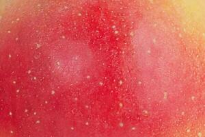 Red and yellow texture of a ripe apple as a background macro photo. photo