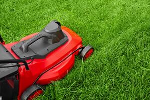 An electric red and black lawnmower mows green grass. Work near your home in the garden. photo