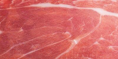 Hamon meat thin slice as macro photo background.