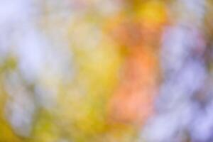 Autumn defocus light background. The blurred leaves of the trees are yellow, red and green photo