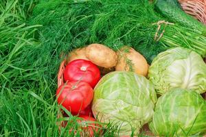 Vegetables close-up cabbage, tomatoes, potatoes, cucumbers and green dill. Healthy food, diet. photo