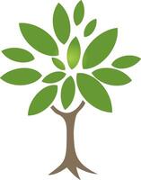 A tree with leaves on it vector
