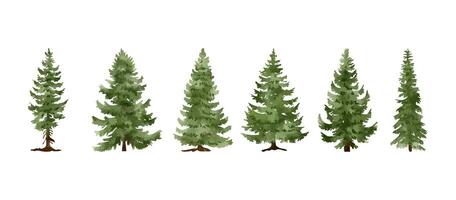 Christmas tree watercolor isolated on white background, Set of greenery Christmas pine tree watercolor illustration vector