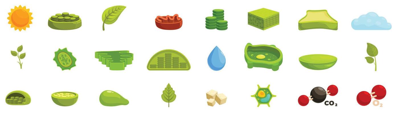 Chloroplast photosynthesis icon set. Photosynthesis process and biology icons showing plant growth and energy conversion