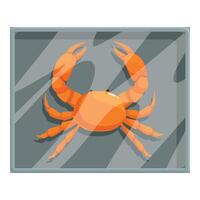 Orange crab preserved in glass case for displaying vector
