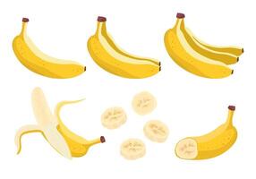 Banana, Set of one, two and bunch of bananas, open banana cut in half, slices . Juicy fresh and yellow Tropical fruit, banana snack or vegetarian food. Isolated on white background vector